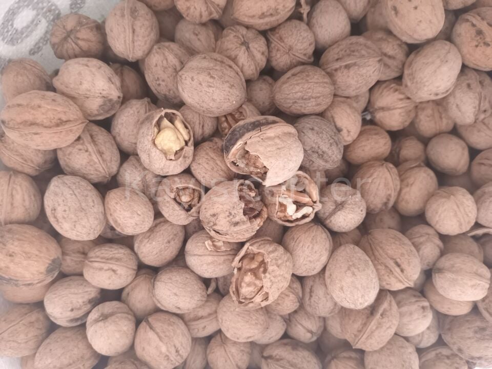 Toptan Lüks Ceviz (Yerli) 25 Kg