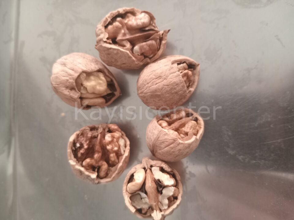 Toptan Lüks Ceviz (Yerli) 25 Kg