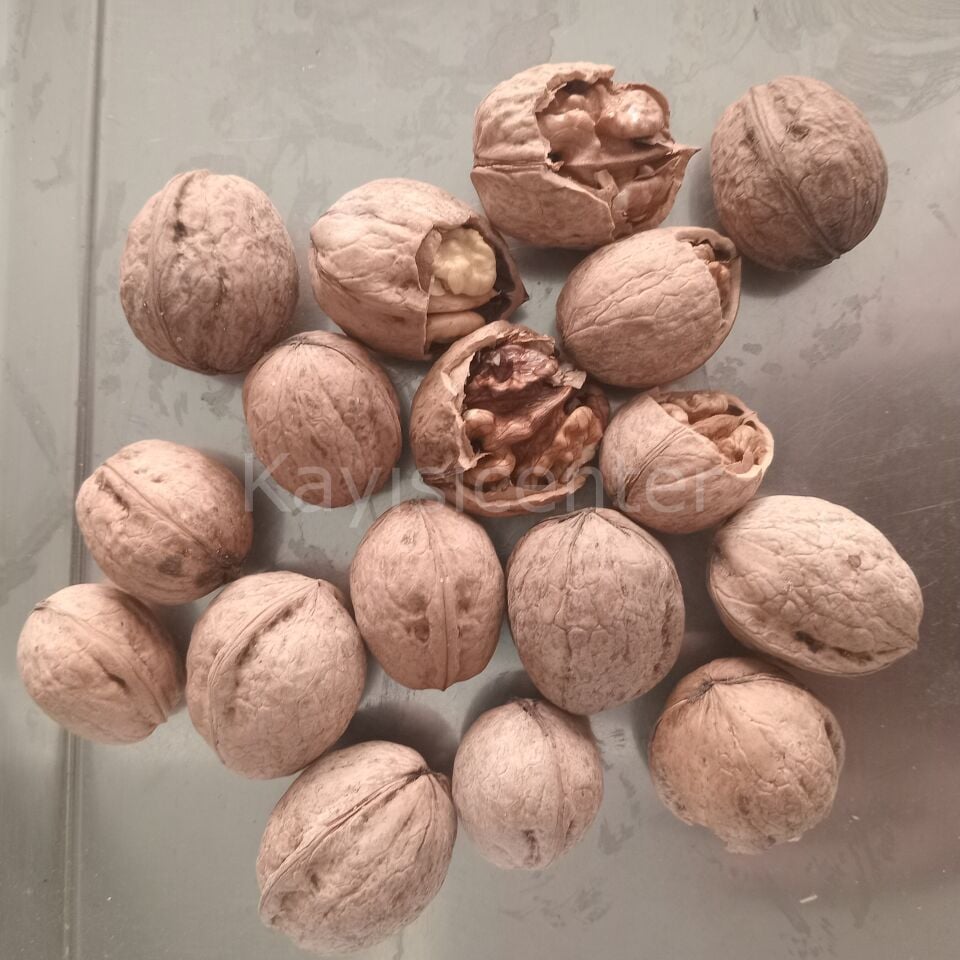 Toptan Lüks Ceviz (Yerli) 25 Kg