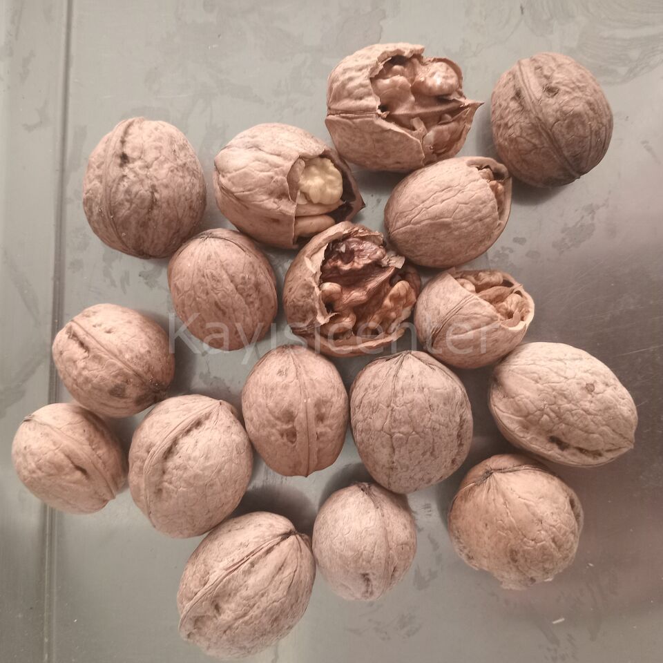 Toptan Lüks Ceviz (Yerli) 25 Kg