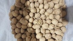 Toptan Lüks Ceviz (Yerli) 25 Kg