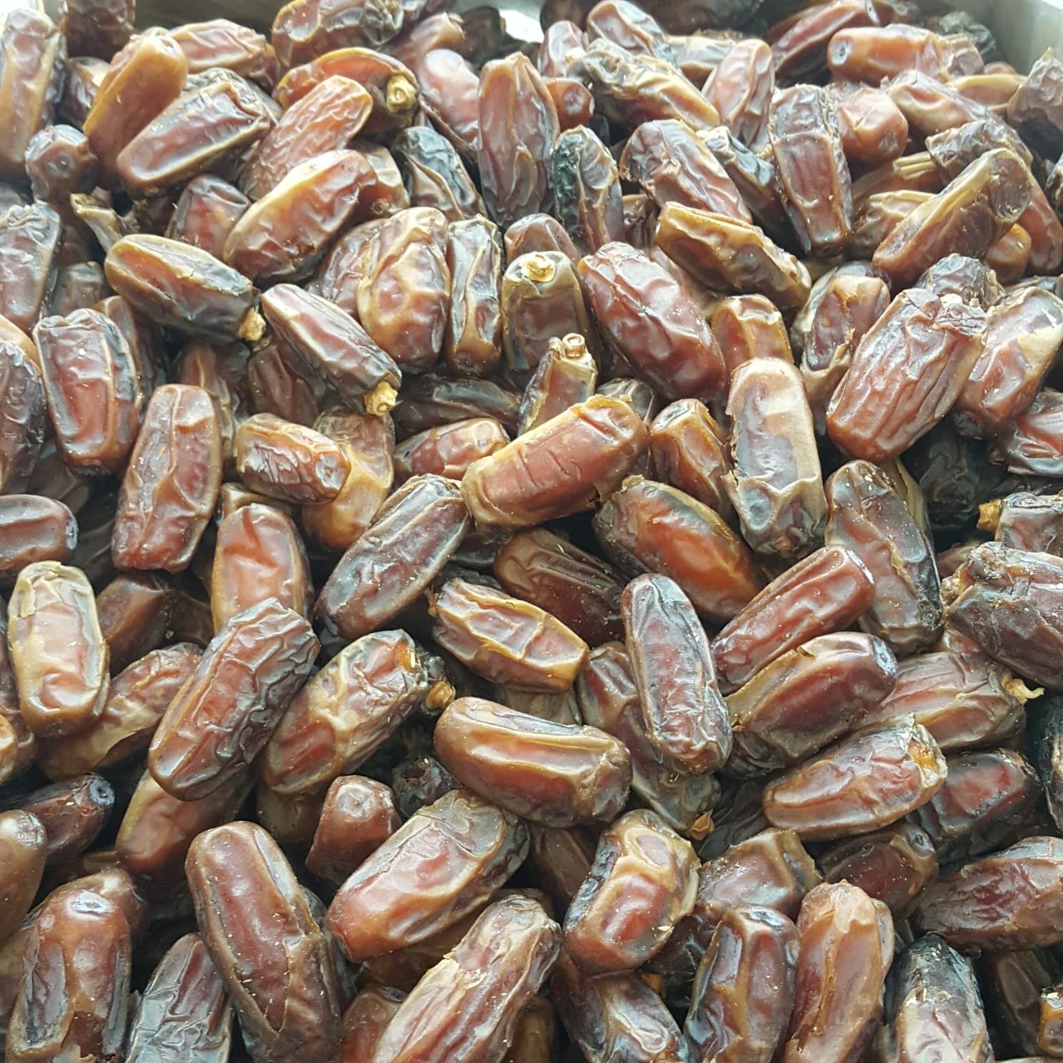 Toptan Medine Lüks Meşruk Hurma 10 Kg