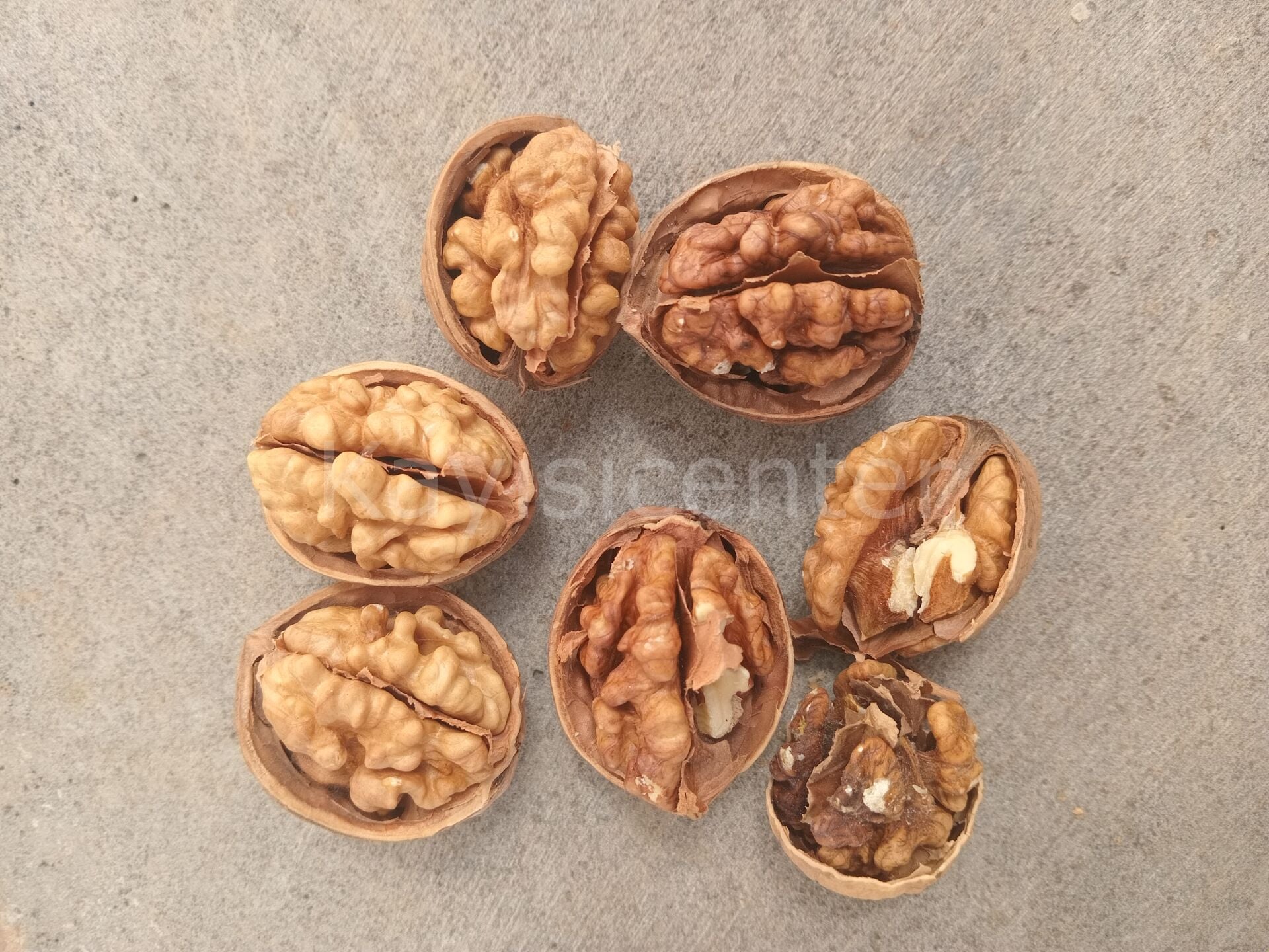 Toptan Chandler İthal Ceviz 25kg