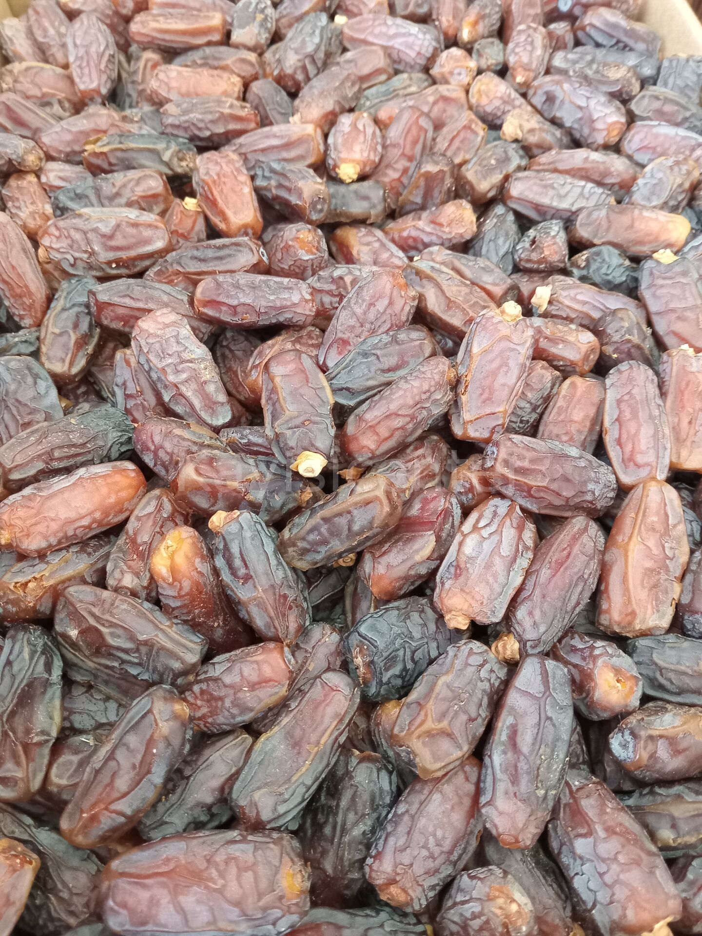Toptan Medine Mebrum Hurma 10Kg