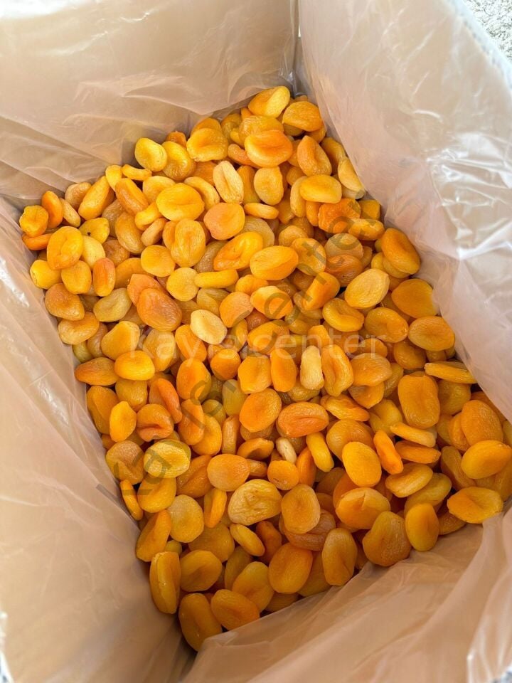 Toptan Sarı Kayısı Elekaltı Özel ürün 10 Kg