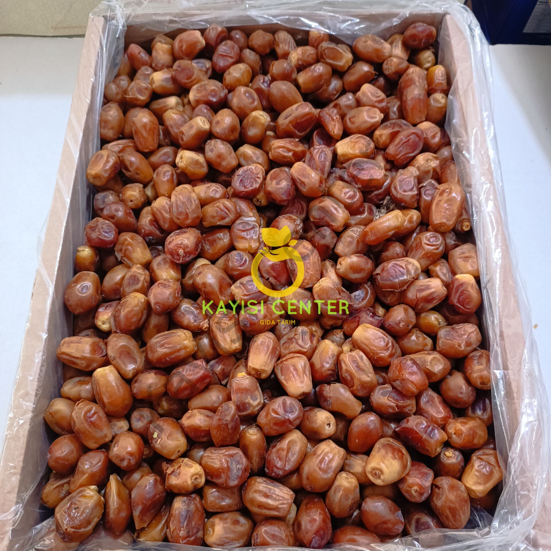 Toptan Bağdat Hurma (Zahidi)
