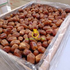 Toptan Bağdat Hurma (Zahidi)