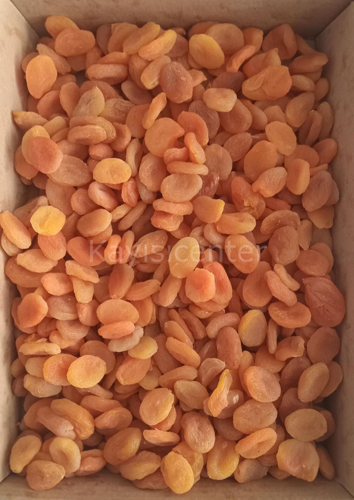 Toptan Ekonomik Aşurelik Sarı Kayısı 10 Kg