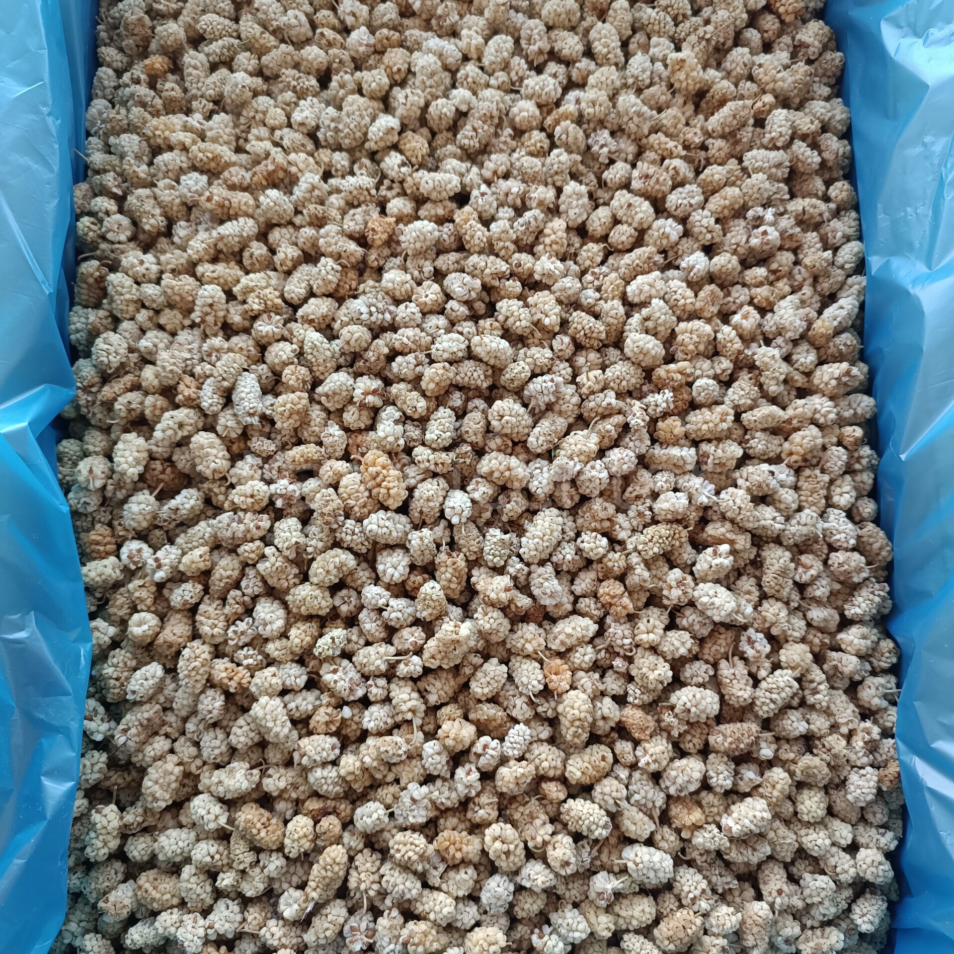 Toptan Pütürge Lüks Dut Kurusu 9 Kg