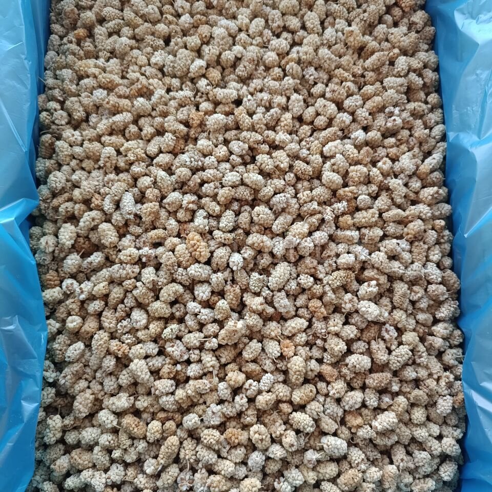 Toptan Pütürge Lüks Dut Kurusu 9 Kg
