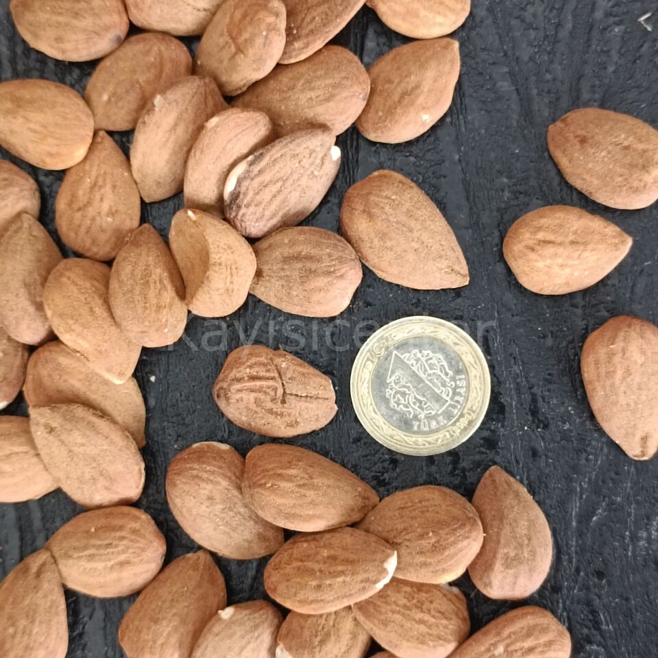 Toptan Duble İthal Çiğ Badem 10 Kg