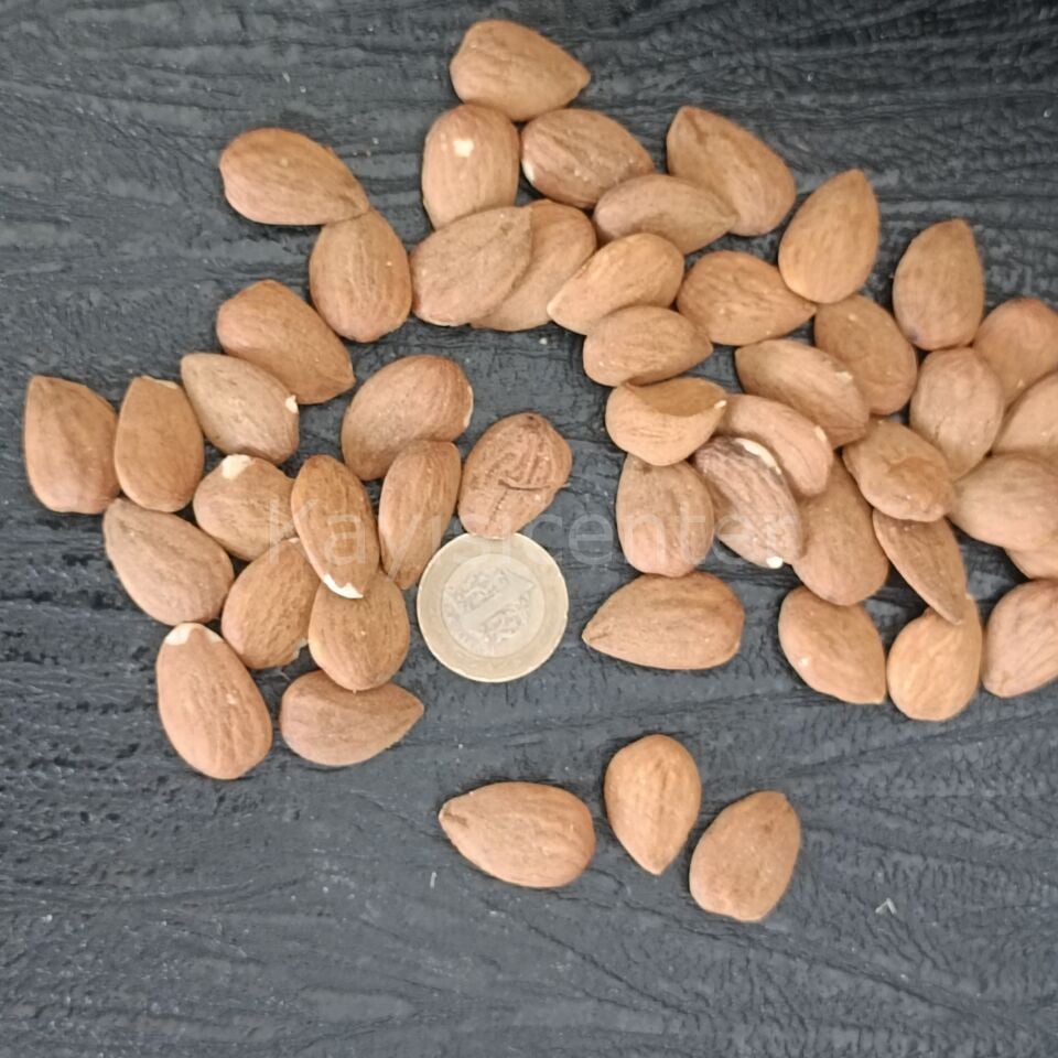 Toptan Duble İthal Çiğ Badem 10 Kg