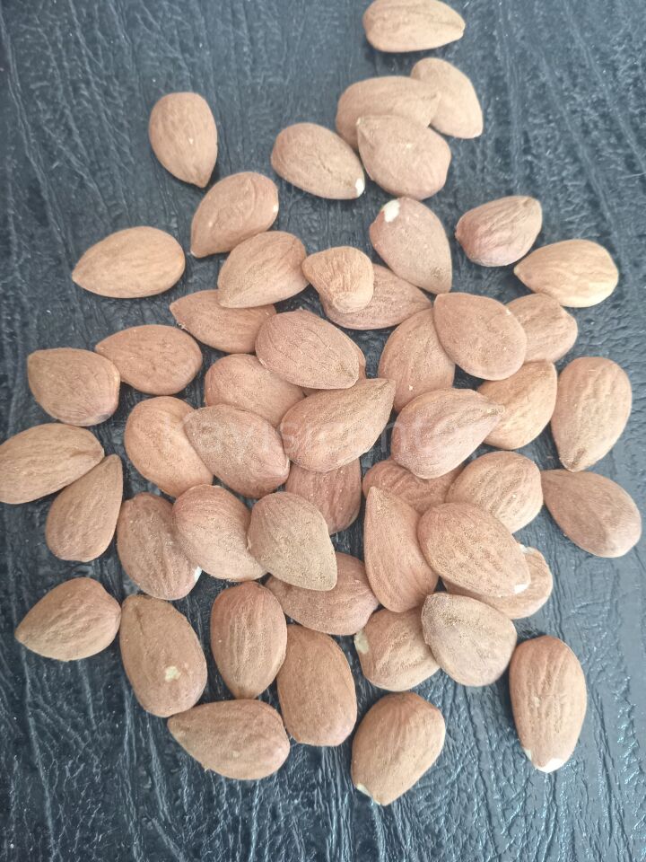 Toptan Duble İthal Çiğ Badem 10 Kg
