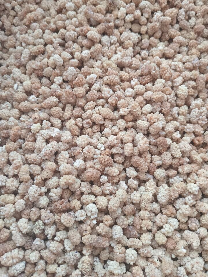 Toptan Pütürge Ekonomik Dut Kurusu 10 Kg