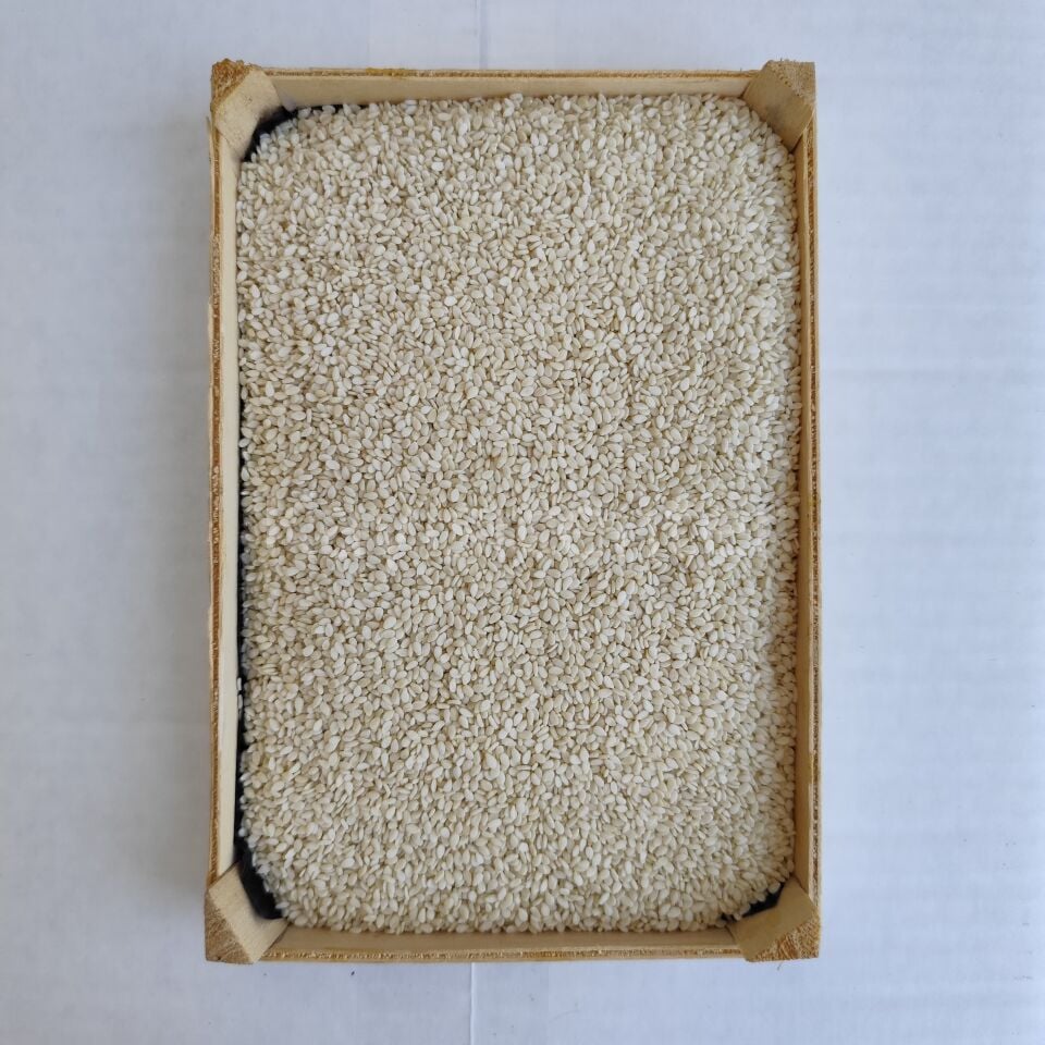 Toptan İthal Beyaz Susam 25 Kg