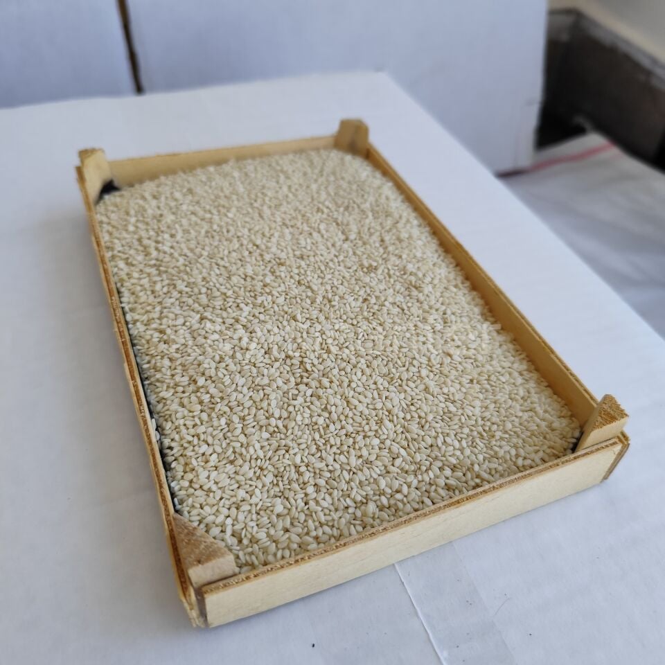 Toptan İthal Beyaz Susam 25 Kg