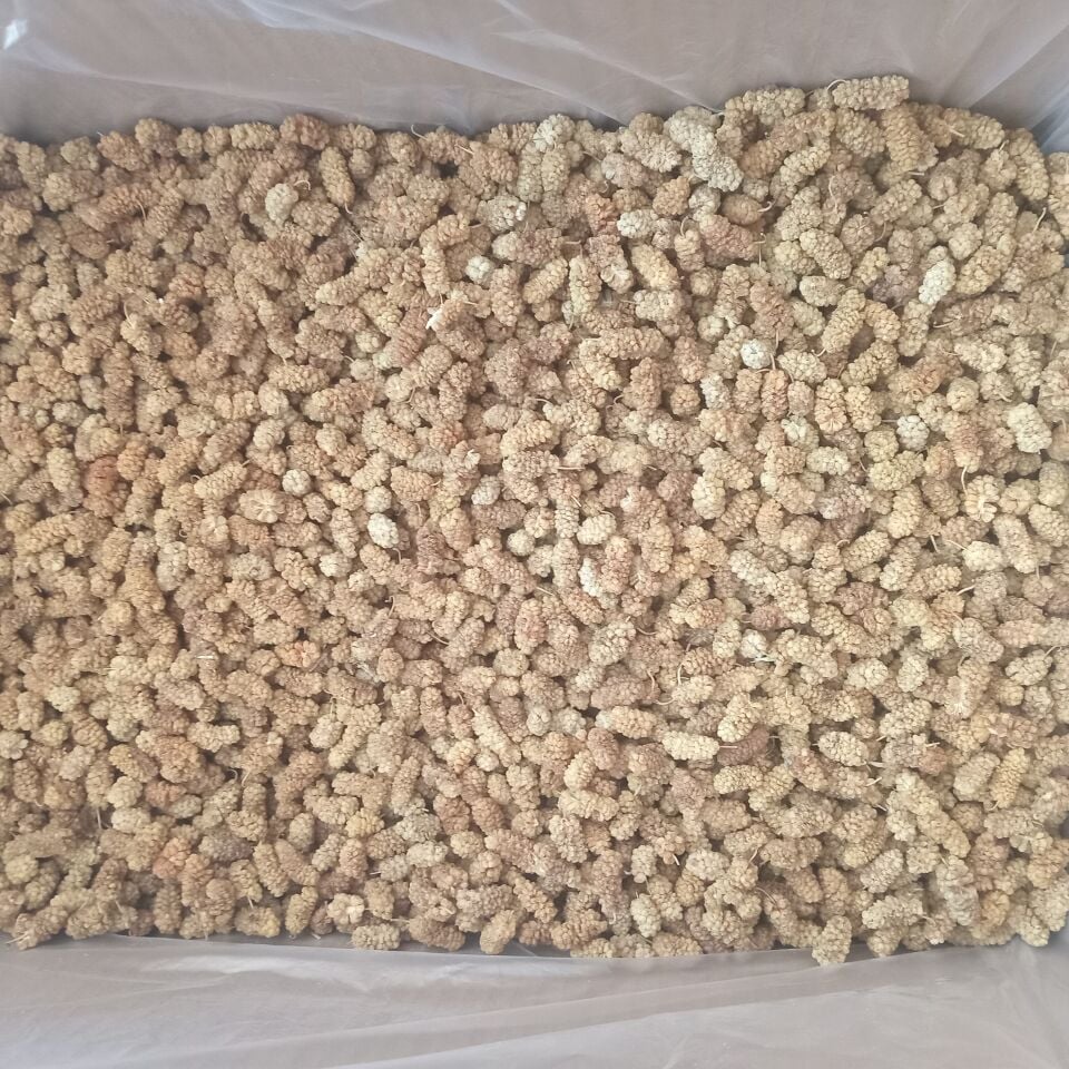 Toptan Yerli Özel Dut Kurusu 12 Kg