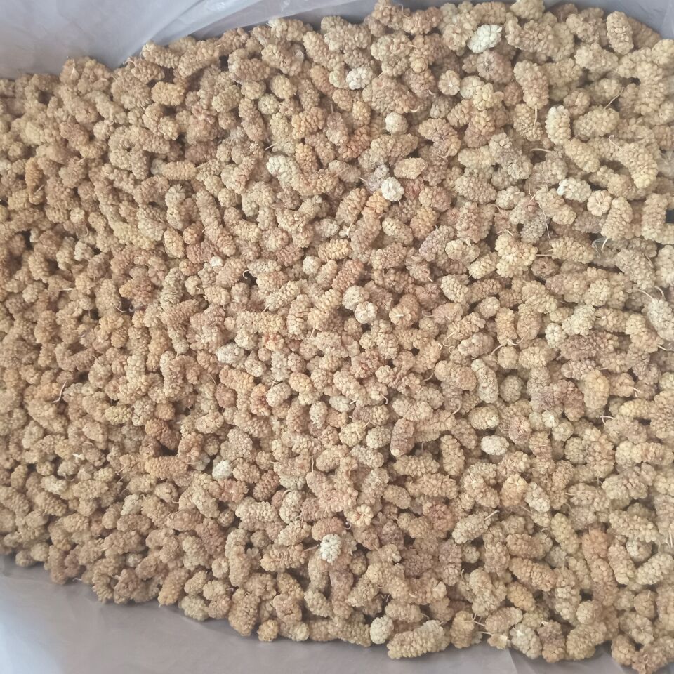 Toptan Yerli Özel Dut Kurusu 12 Kg