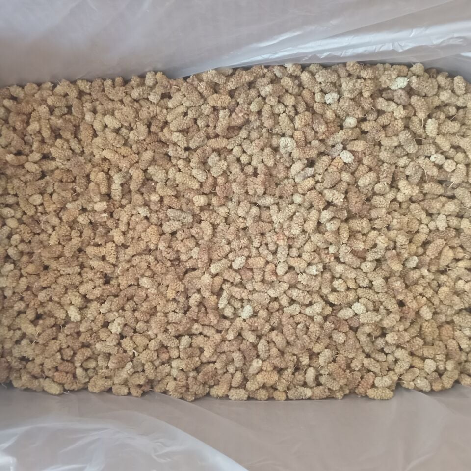 Toptan Yerli Özel Dut Kurusu 12 Kg