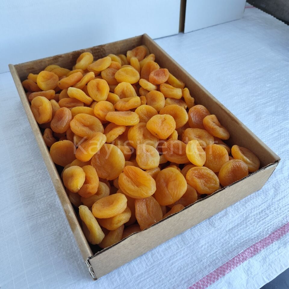 Toptan Ekstra Jumbo Sarı Kayısı 10Kg