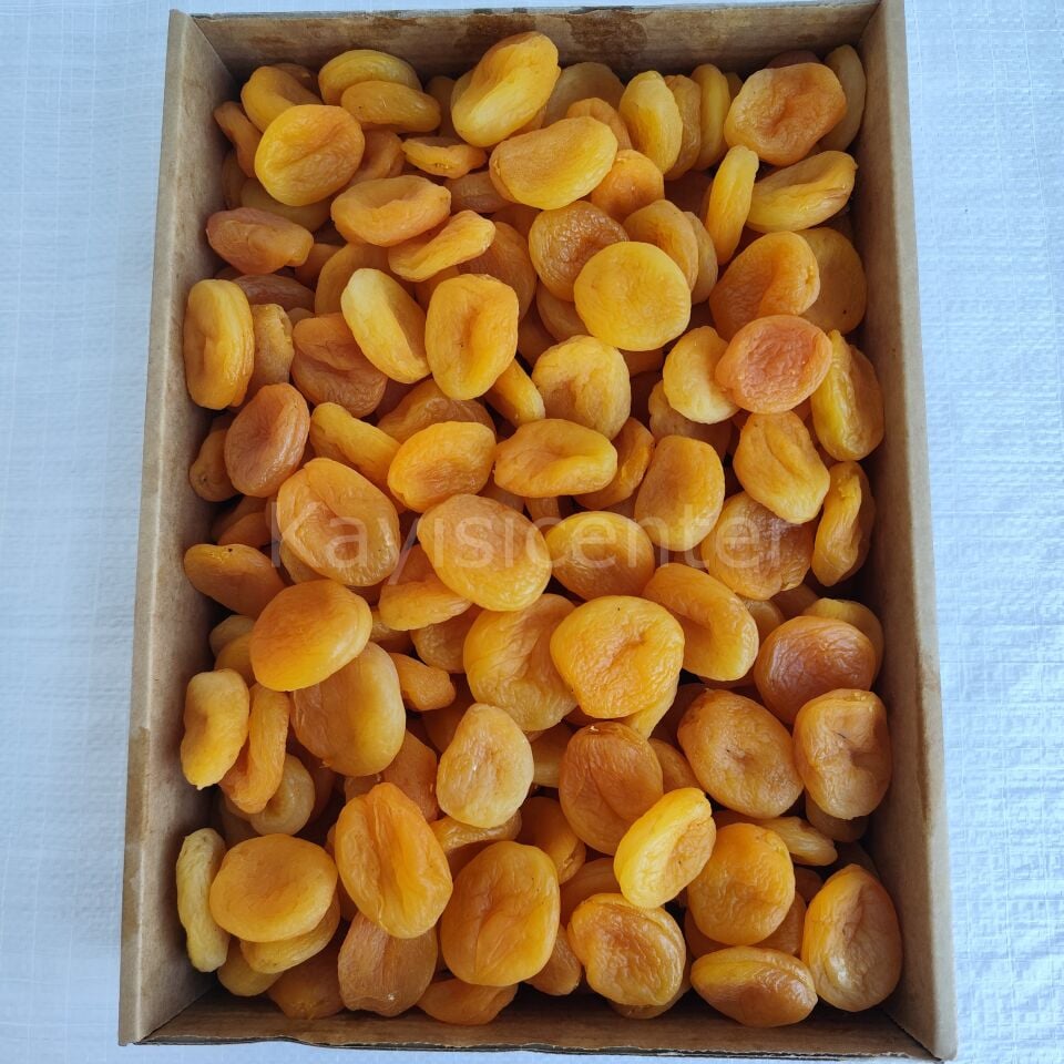 Toptan Ekstra Jumbo Sarı Kayısı 10Kg