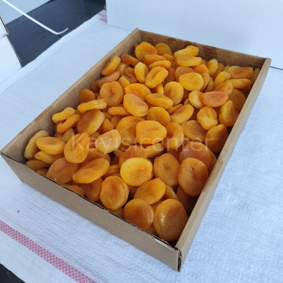 Toptan Ekstra Jumbo Sarı Kayısı 10Kg