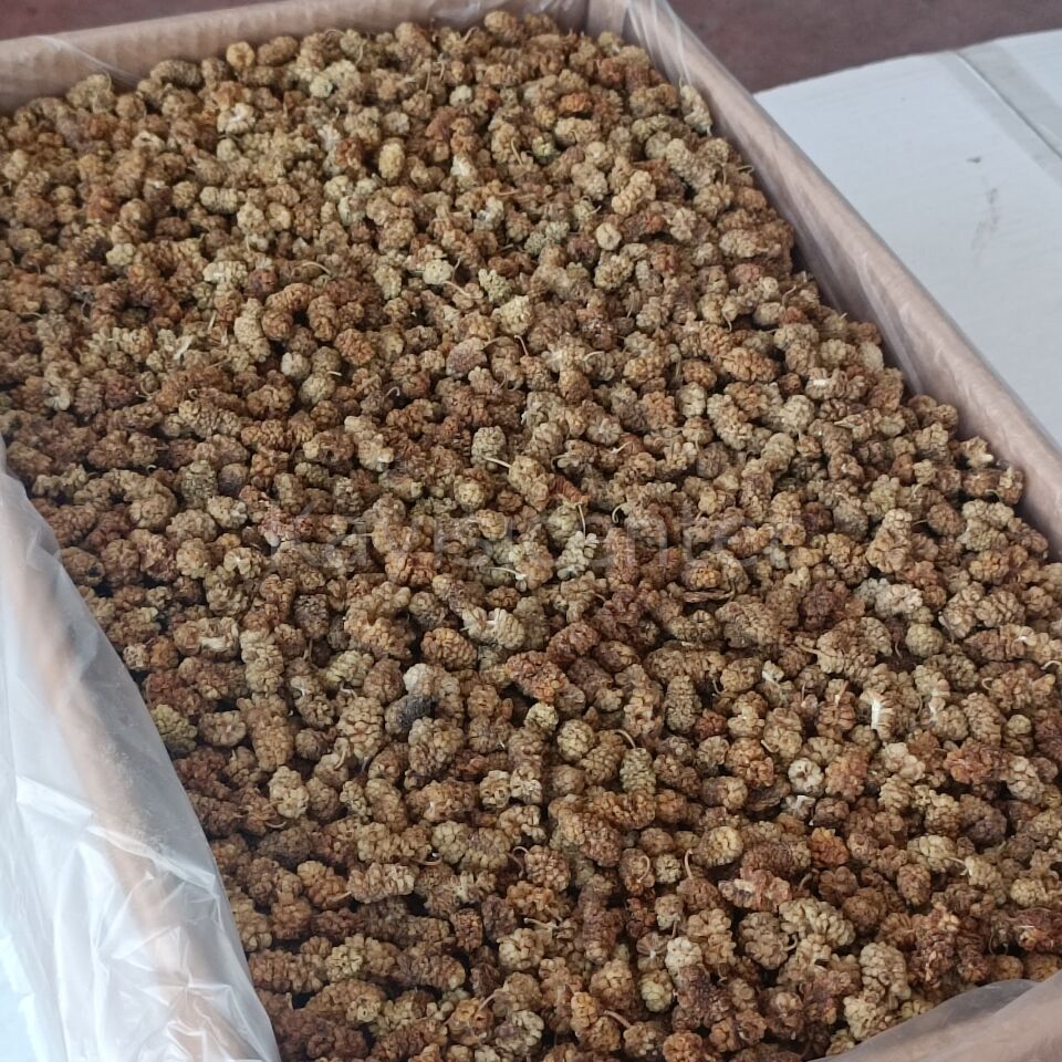 Toptan Yerli Orta Kalite Dut Kurusu 11 Kg