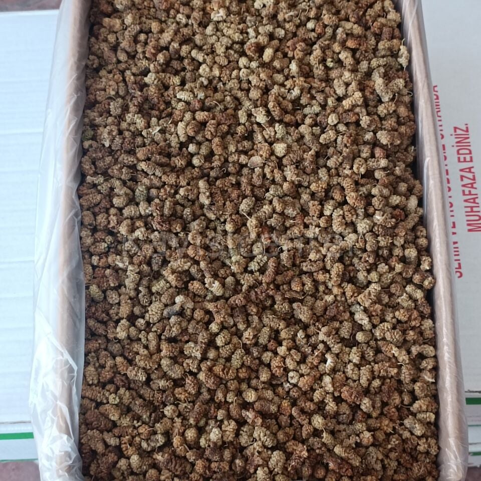 Toptan Yerli Orta Kalite Dut Kurusu 11 Kg