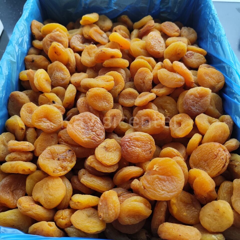 Toptan Naturel Sarı Kayısı 10 Kg