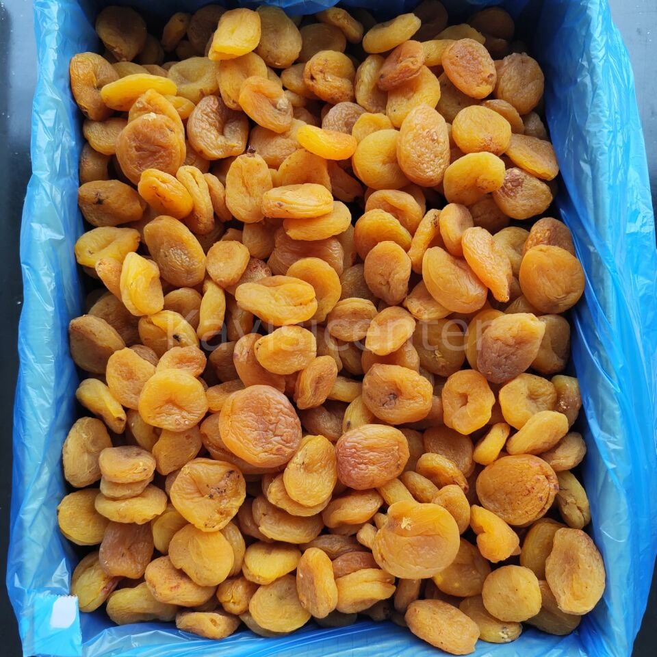 Toptan Naturel Sarı Kayısı 10 Kg