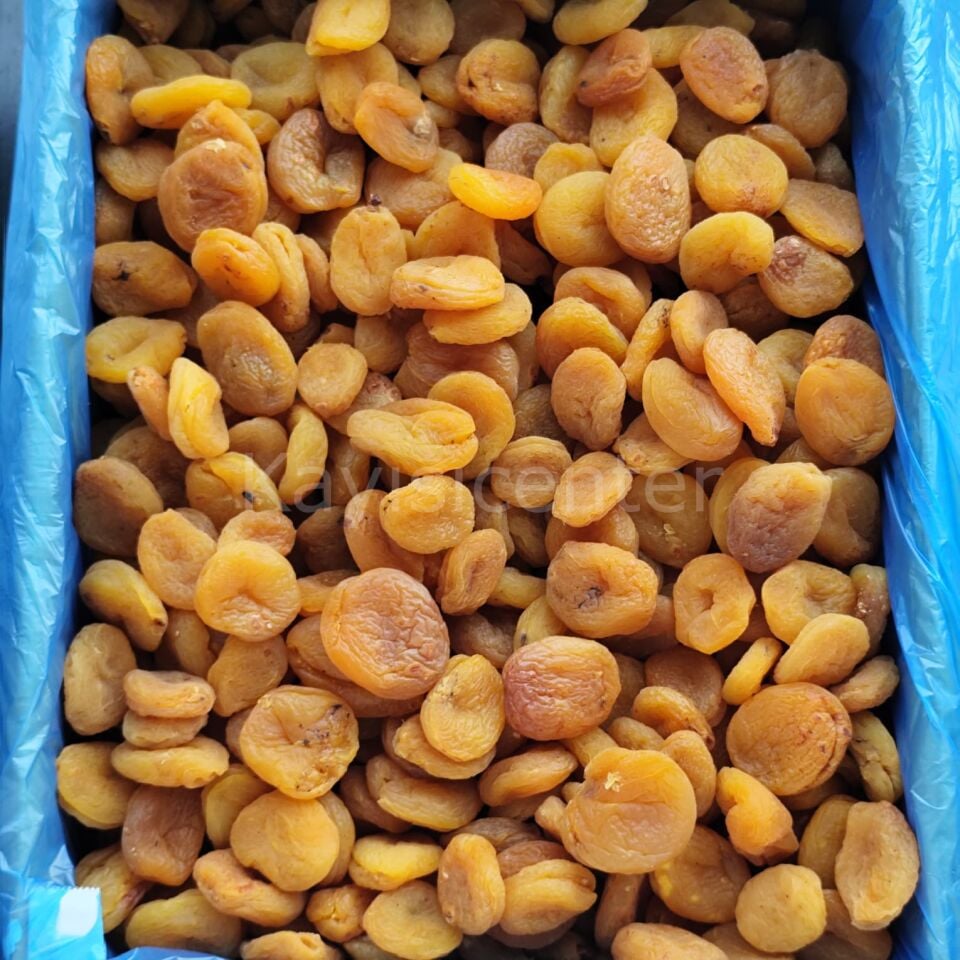 Toptan Naturel Sarı Kayısı 10 Kg