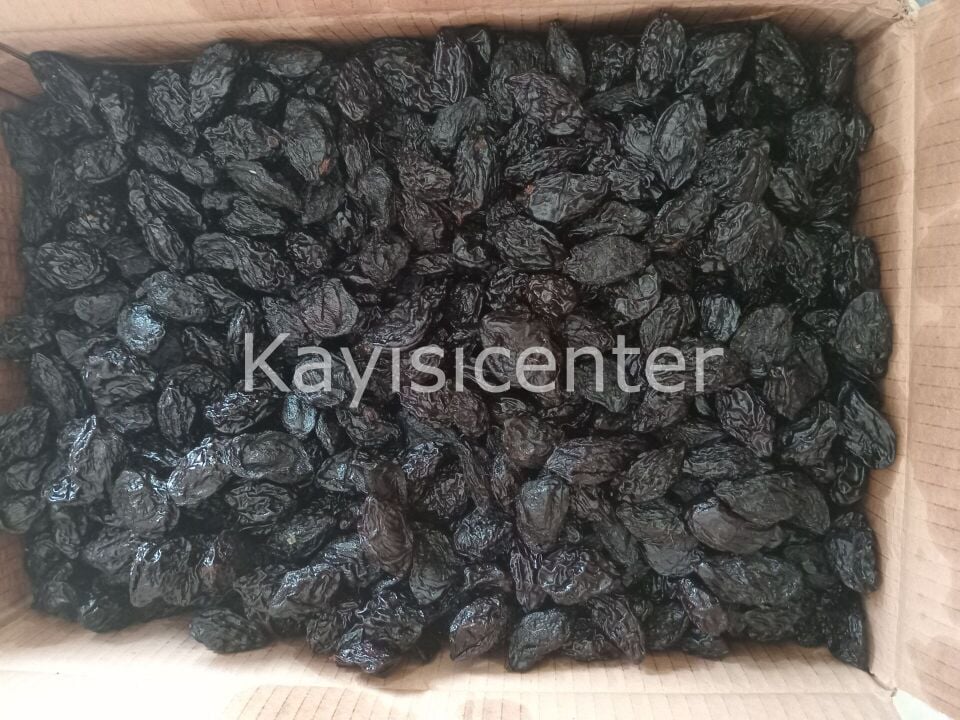 Toptan Çekirdekli Özbek Erik 1000 Kg