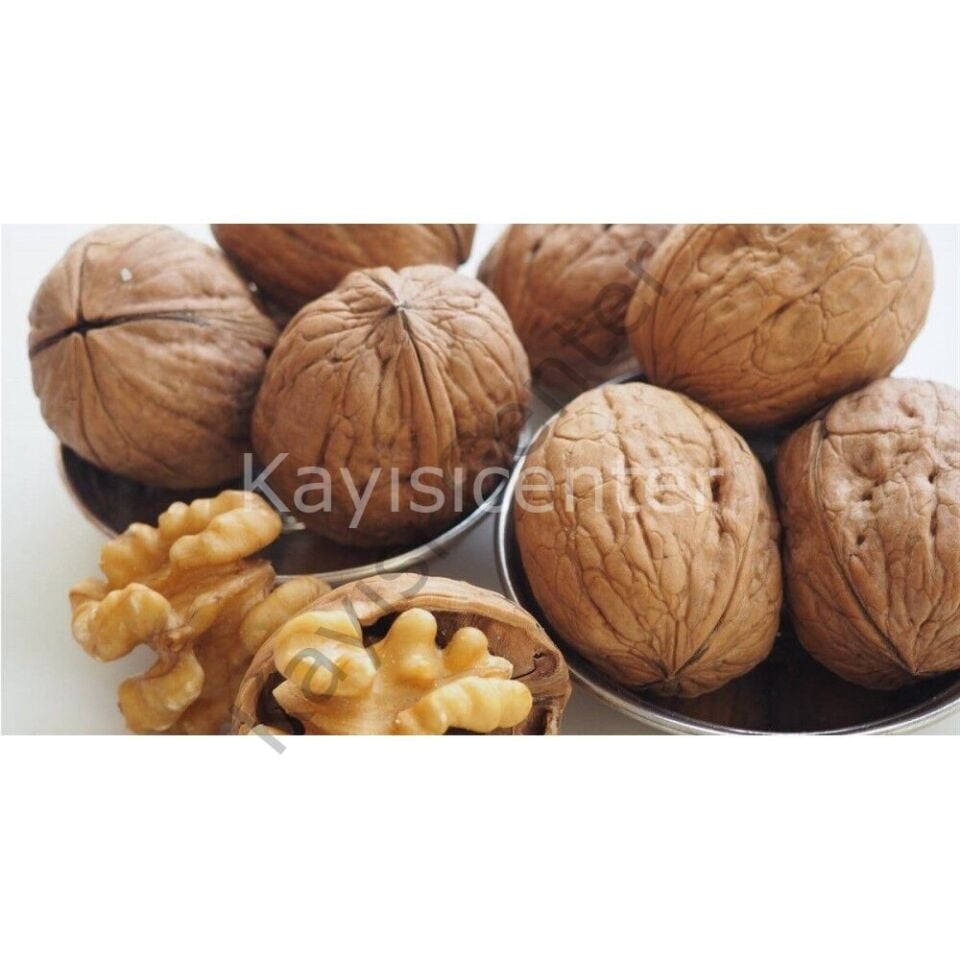 Toptan Chandler  İthal Ceviz 1000 kg