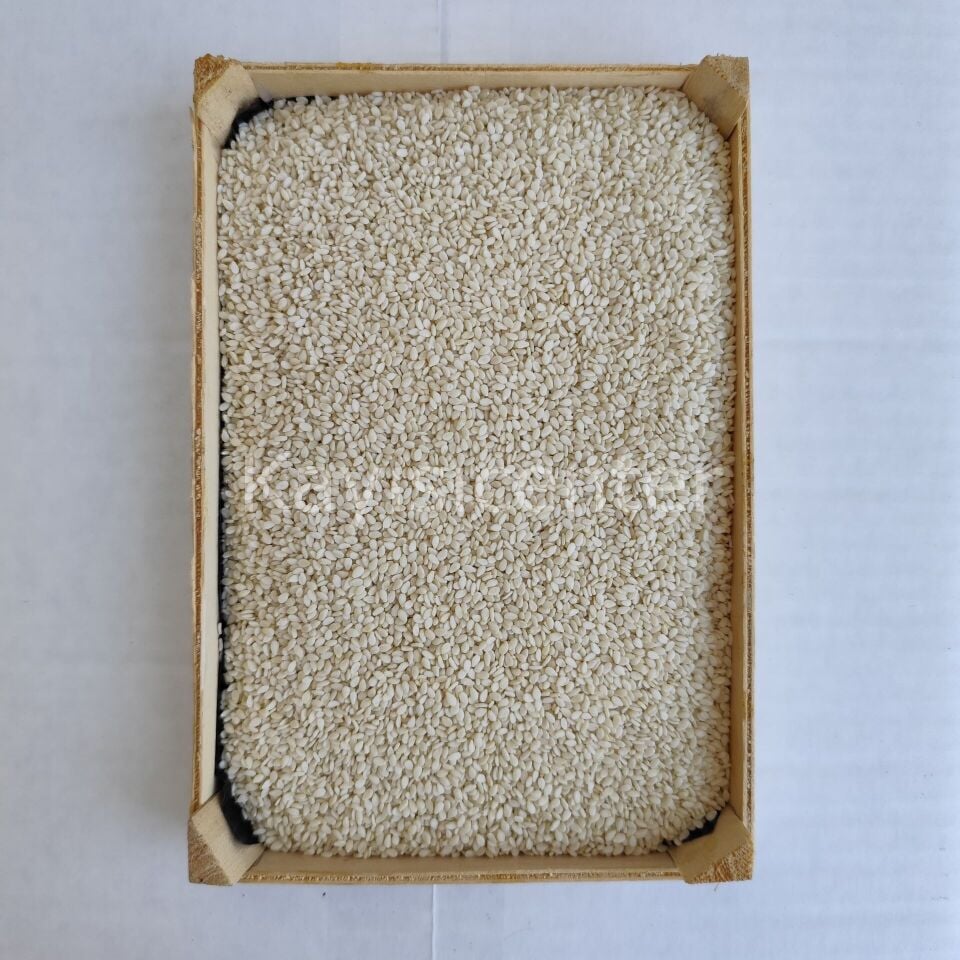 Toptan İthal Beyaz Susam 1000 Kg