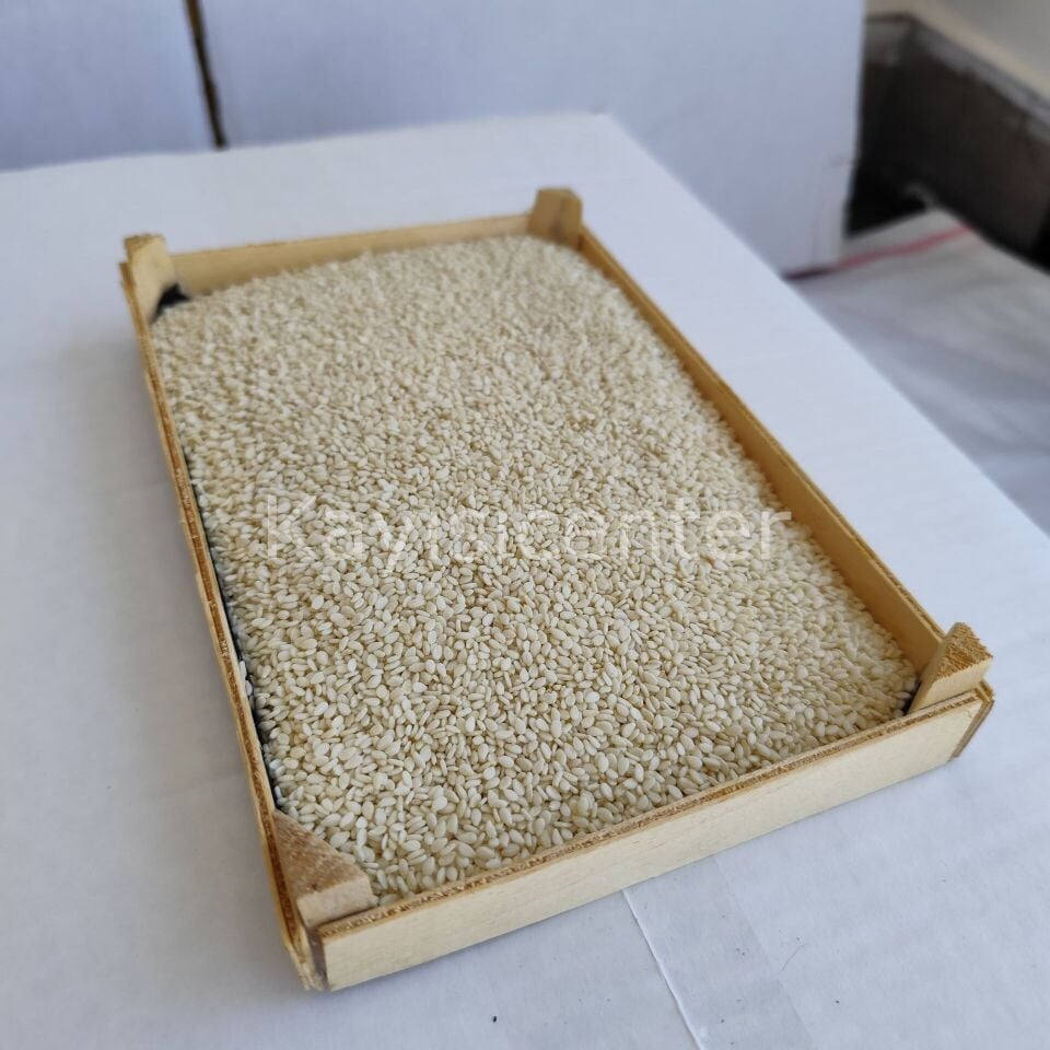 Toptan İthal Beyaz Susam 1000 Kg