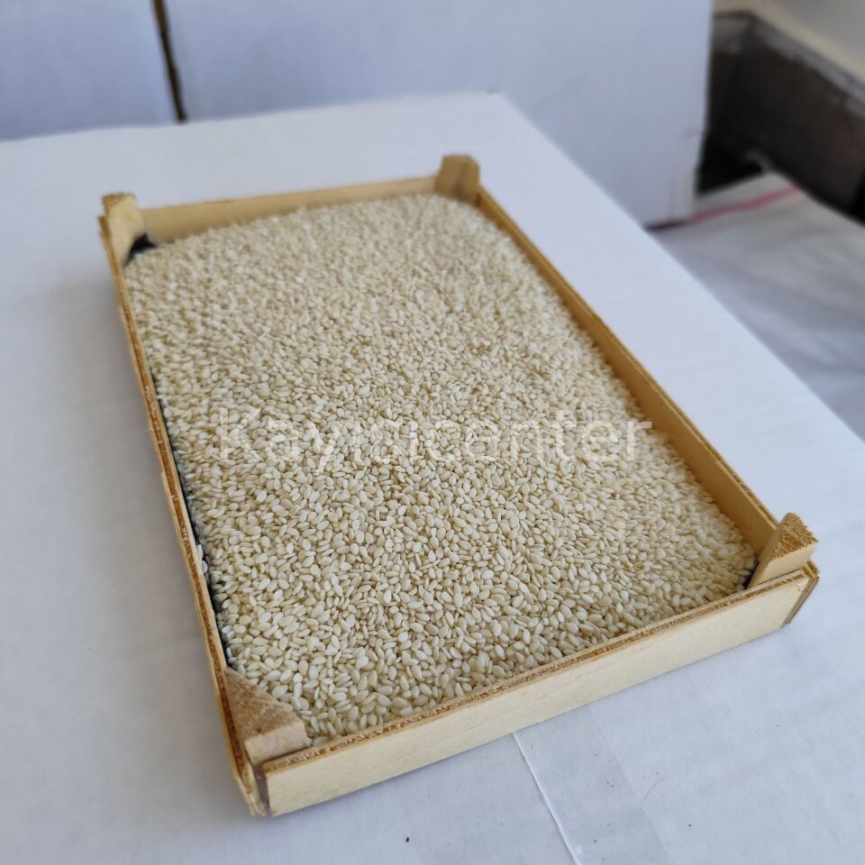 Toptan İthal Beyaz Susam 1000 Kg