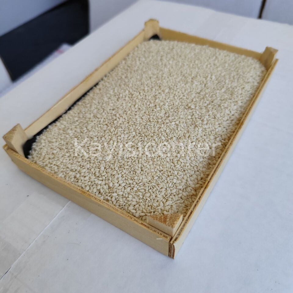 Toptan İthal Beyaz Susam 1000 Kg