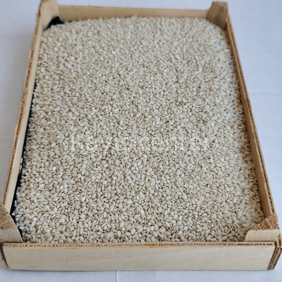 Toptan İthal Beyaz Susam 1000 Kg