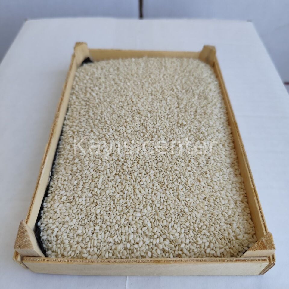 Toptan İthal Beyaz Susam 1000 Kg