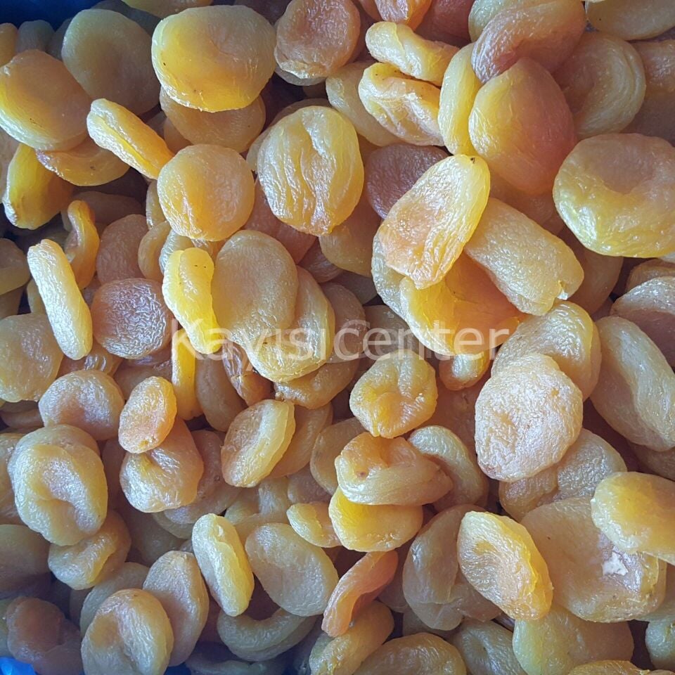 Toptan Jumbo Sarı Kayısı 1000 Kg