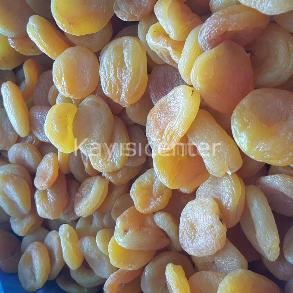 Toptan Jumbo Sarı Kayısı 1000 Kg