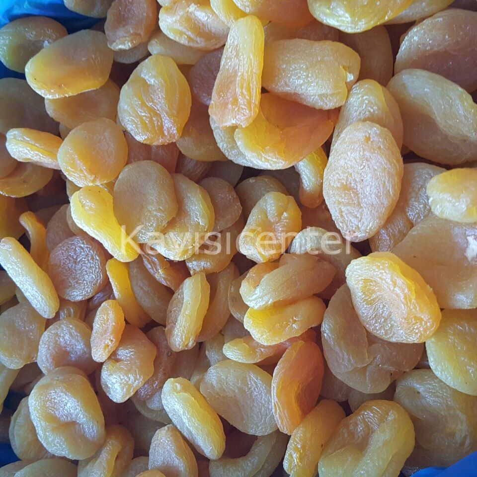 Toptan Jumbo Sarı Kayısı 1000 Kg