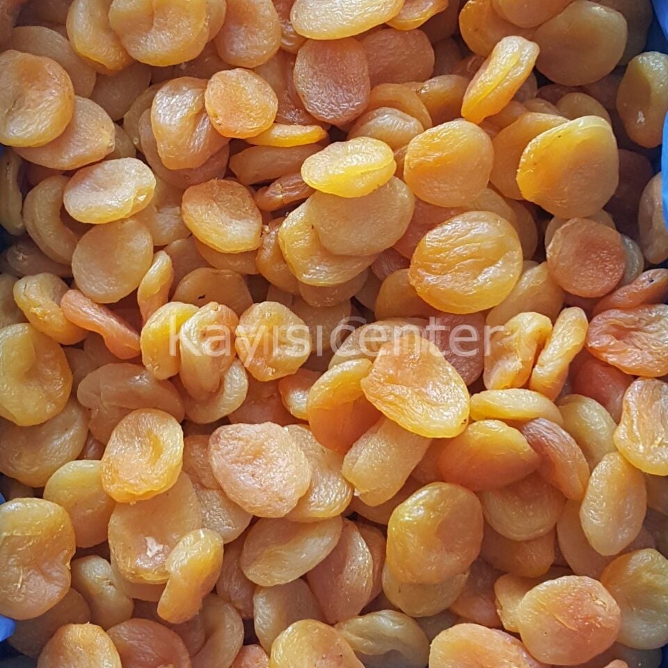 Toptan Jumbo Sarı Kayısı 1000 Kg