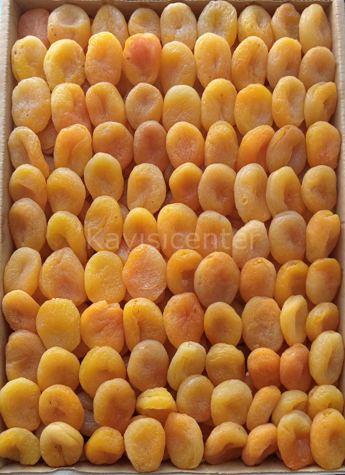 Toptan 4 Numara Sarı Kayısı 1000 Kg