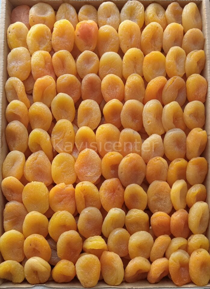 Toptan 4 Numara Sarı Kayısı 1000 Kg