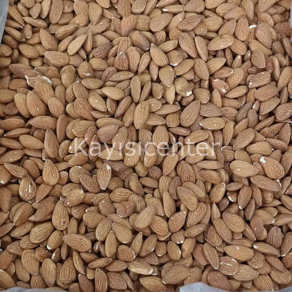Toptan İthal Çiğ Badem 1000 Kg