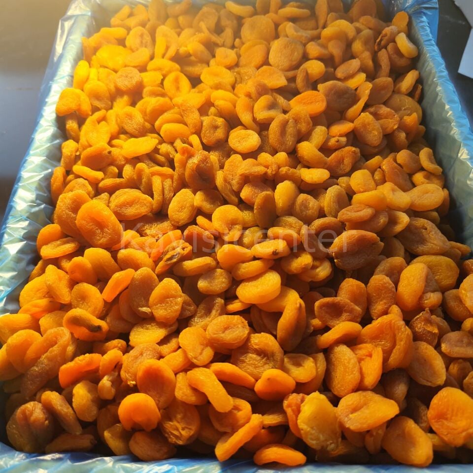 Toptan Sarı Kayısı Elekaltı 10 Kg