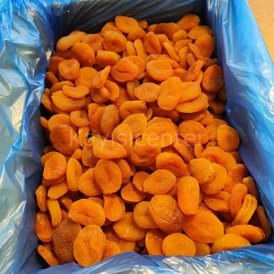 Toptan Jumbo Sarı Kayısı 10Kg