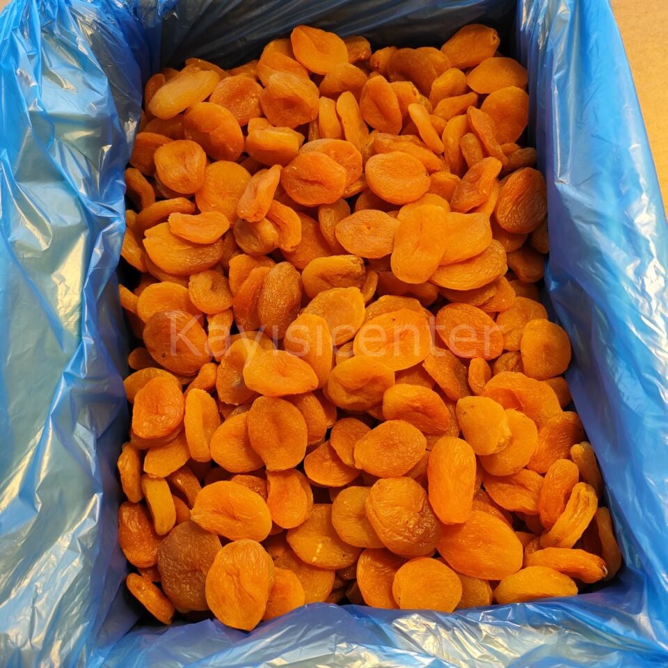 Toptan Jumbo Sarı Kayısı 10Kg