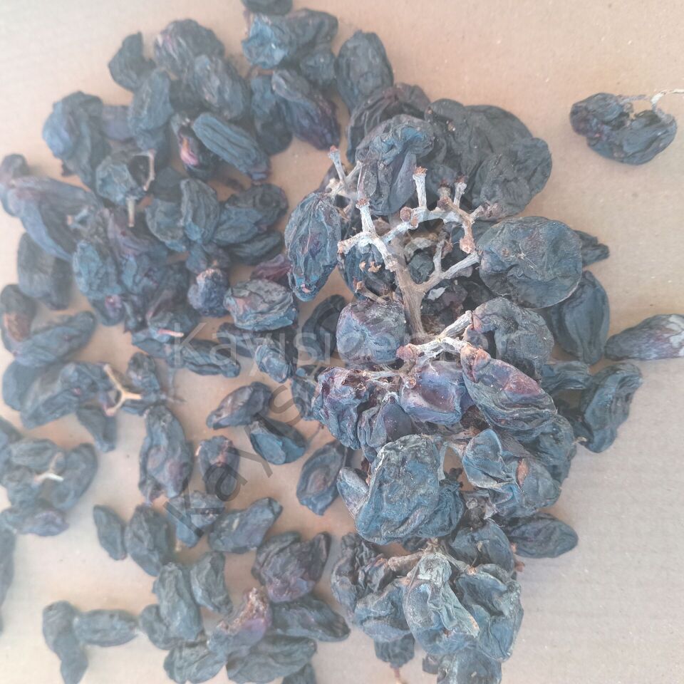 Toptan Atlık Kuru Üzüm 100 Kg